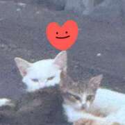 ヒメ日記 2025/10/09 23:00 投稿 すみれ 西船人妻花壇