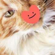 ヒメ日記 2025/10/22 23:26 投稿 すみれ 西船人妻花壇