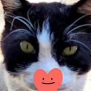 すみれ 【お礼写メ日記】 西船人妻花壇