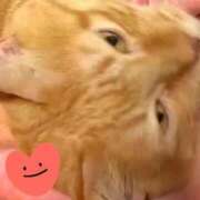 すみれ ありがとう(ФωФ) 西船人妻花壇