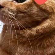 すみれ ありがとう(ФωФ) 西船人妻花壇