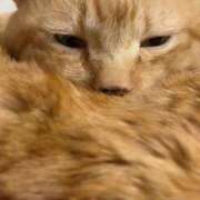 ヒメ日記 2025/12/18 21:35 投稿 すみれ 西船人妻花壇