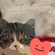 ヒメ日記 2025/12/23 21:13 投稿 すみれ 西船人妻花壇