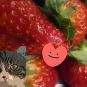 ヒメ日記 2025/12/26 18:20 投稿 すみれ 西船人妻花壇