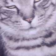 ヒメ日記 2026/01/06 20:49 投稿 すみれ 西船人妻花壇