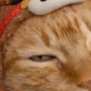 ヒメ日記 2026/01/14 13:01 投稿 すみれ 西船人妻花壇