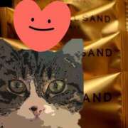 ヒメ日記 2026/01/15 21:20 投稿 すみれ 西船人妻花壇