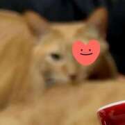 ヒメ日記 2026/01/26 17:08 投稿 すみれ 西船人妻花壇