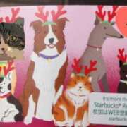 ヒメ日記 2026/01/29 19:05 投稿 すみれ 西船人妻花壇