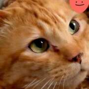 ヒメ日記 2026/01/29 19:16 投稿 すみれ 西船人妻花壇