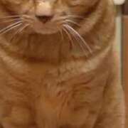 すみれ ありがとう(ФωФ) 西船人妻花壇