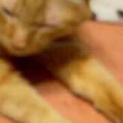 ヒメ日記 2026/02/11 16:05 投稿 すみれ 西船人妻花壇