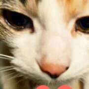 ヒメ日記 2026/02/24 21:51 投稿 すみれ 西船人妻花壇