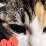 ヒメ日記 2026/03/04 20:31 投稿 すみれ 西船人妻花壇