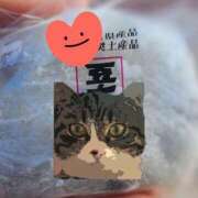 ヒメ日記 2026/03/07 19:09 投稿 すみれ 西船人妻花壇