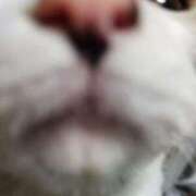 すみれ ごめんなさい！！！ 西船人妻花壇