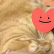 すみれ ありがとう(ФωФ) 西船人妻花壇