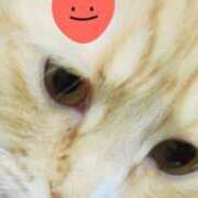 ヒメ日記 2026/04/02 19:33 投稿 すみれ 西船人妻花壇