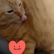 ヒメ日記 2026/04/06 18:57 投稿 すみれ 西船人妻花壇