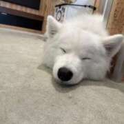 ヒメ日記 2024/12/20 12:08 投稿 かえで フォーチュン