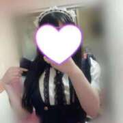 ヒメ日記 2025/03/31 12:04 投稿 かえで フォーチュン