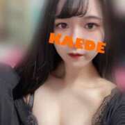 ヒメ日記 2025/04/04 12:06 投稿 かえで フォーチュン