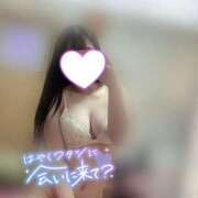 ヒメ日記 2025/04/06 12:02 投稿 かえで フォーチュン