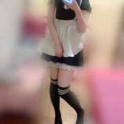 ヒメ日記 2025/06/19 12:04 投稿 かえで フォーチュン