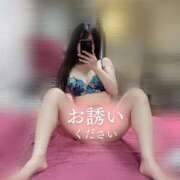 ヒメ日記 2025/09/25 08:02 投稿 かえで フォーチュン