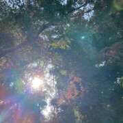 ヒメ日記 2024/12/13 10:20 投稿 野村ちえこ 月の真珠-新宿-