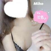 ヒメ日記 2025/03/11 20:11 投稿 みほ Gossip girl成田店