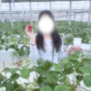 深谷ありす 🍓甘いの好き？それとも…？♡ 癒したくて成田店～日本人アロマ性感～