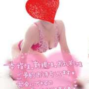 ヒメ日記 2025/04/20 09:13 投稿 きさき 野田デリヘル若妻淫乱倶楽部