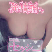 ヒメ日記 2026/02/07 08:00 投稿 きさき 野田デリヘル若妻淫乱倶楽部
