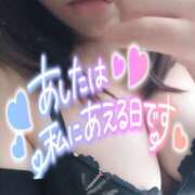 ヒメ日記 2025/07/27 19:55 投稿 きさき 若妻淫乱倶楽部