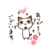 ヒメ日記 2025/03/23 00:14 投稿 西尾さや 五十路マダム 郡山店