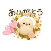 ヒメ日記 2025/09/27 00:22 投稿 西尾さや 五十路マダム 郡山店