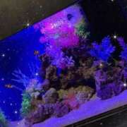 ヒメ日記 2025/09/23 00:48 投稿 山之内（やまのうち） 今日、私はあなたの部下（マーベリックグループ）