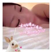 ヒメ日記 2024/12/08 02:20 投稿 すずね 京都出張メンズエステChou Chou（シュシュ)