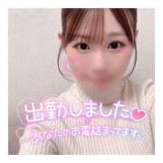 ヒメ日記 2024/12/10 19:23 投稿 すずね 京都出張メンズエステChou Chou（シュシュ)