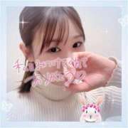 ヒメ日記 2024/12/11 04:30 投稿 すずね 京都出張メンズエステChou Chou（シュシュ)