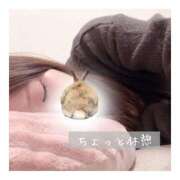 ヒメ日記 2024/12/12 20:10 投稿 すずね 京都出張メンズエステChou Chou（シュシュ)