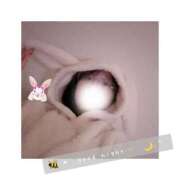 ヒメ日記 2025/01/06 05:20 投稿 すずね 京都出張メンズエステChou Chou（シュシュ)