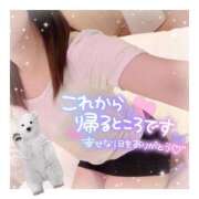 ヒメ日記 2025/01/09 03:40 投稿 すずね 京都出張メンズエステChou Chou（シュシュ)