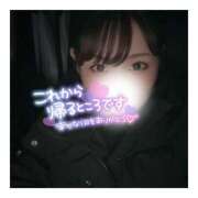 ヒメ日記 2025/01/20 03:20 投稿 すずね 京都出張メンズエステChou Chou（シュシュ)