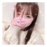 ヒメ日記 2025/02/03 03:31 投稿 すずね 京都出張メンズエステChou Chou（シュシュ)