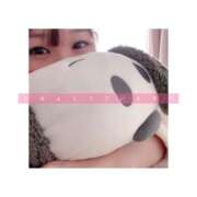 ヒメ日記 2025/02/10 13:30 投稿 すずね 京都出張メンズエステChou Chou（シュシュ)