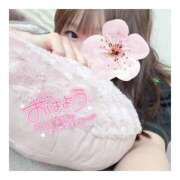 ヒメ日記 2025/04/24 15:00 投稿 すずね 京都出張メンズエステChou Chou（シュシュ)