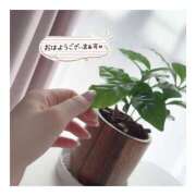 ヒメ日記 2025/04/28 14:30 投稿 すずね 京都出張メンズエステChou Chou（シュシュ)