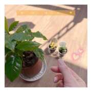 ヒメ日記 2025/05/03 13:50 投稿 すずね 京都出張メンズエステChou Chou（シュシュ)